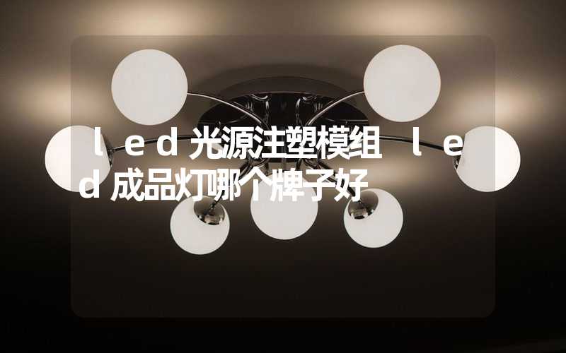 led光源注塑模组 led成品灯哪个牌子好